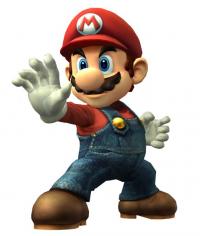 The Plumber's Photo