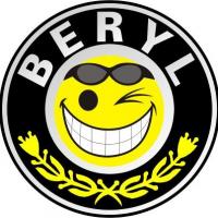 Beryl's Chief Pilot's Photo