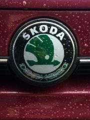Skoda Badge Refurbished And aplied