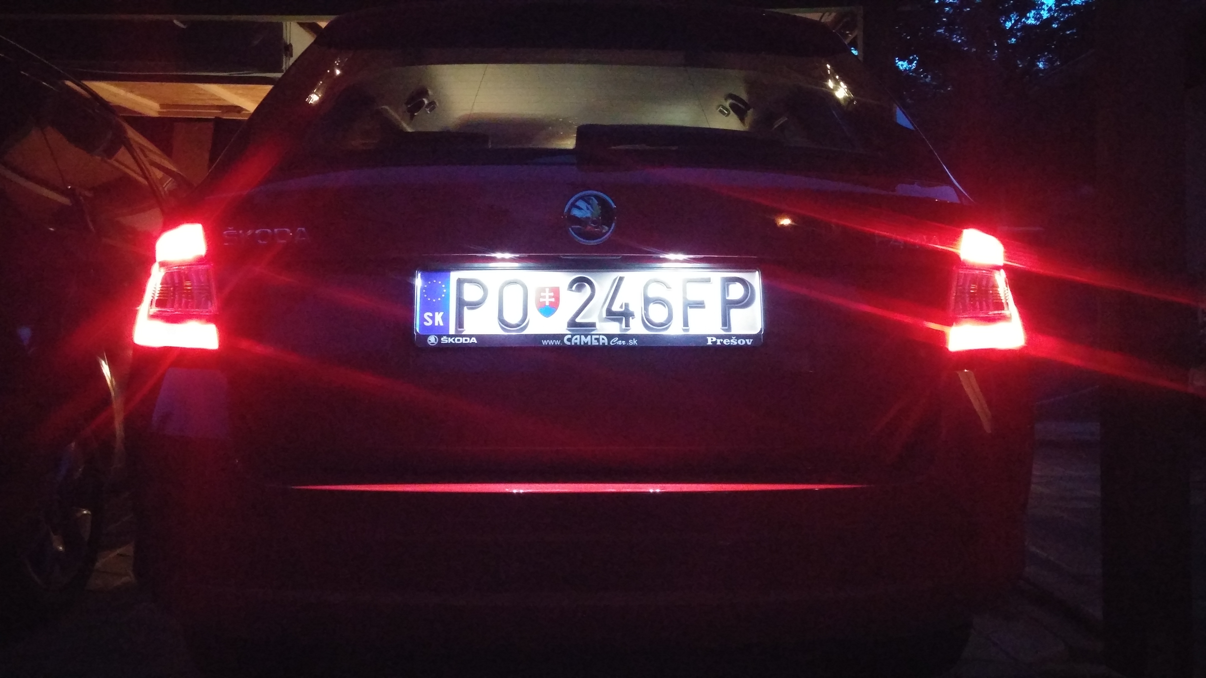 LED license plate light (000052110)